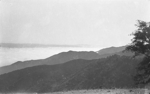 Salinas Valley