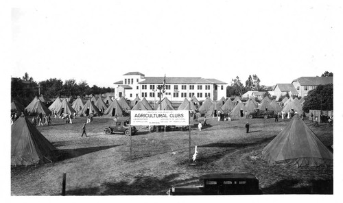 [Summer camp at Davis]