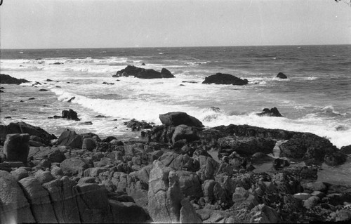 [Monterey coast]