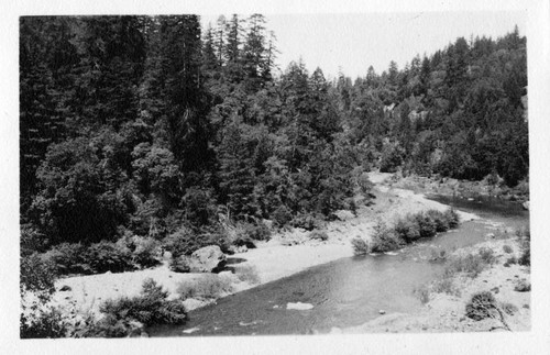 Redwood Highway