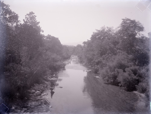 River with Tree-Lined Banks