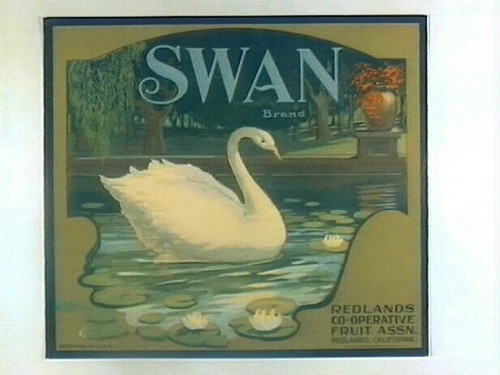 Swan Brand