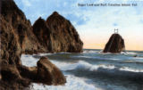 Sugar Loaf and Surf, Catalina Island, Cal