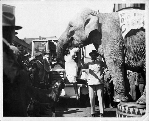 Rudy and Anna Muller With Rosie the elephant