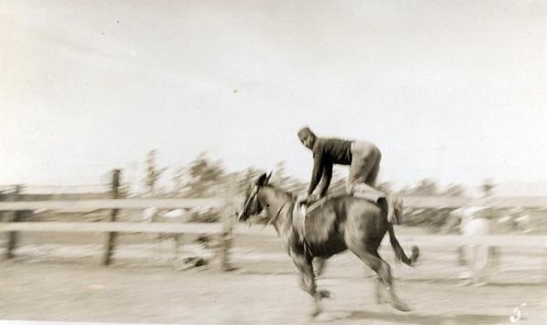 Man performing a horse riding stunt