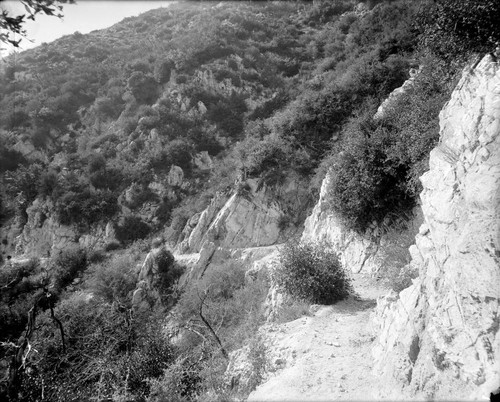 View looking down the mountain side along the Mount Wilson toll road