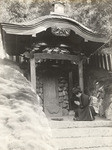 G.W. Wattles' Japanese garden (10 views)