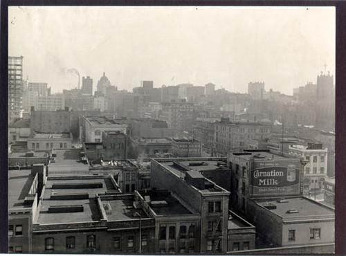 [View of San Francisco, looking south from the Hall of Justice]