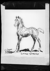 Copy of drawing of 'Little Smokey' horse, Southern California, 1929