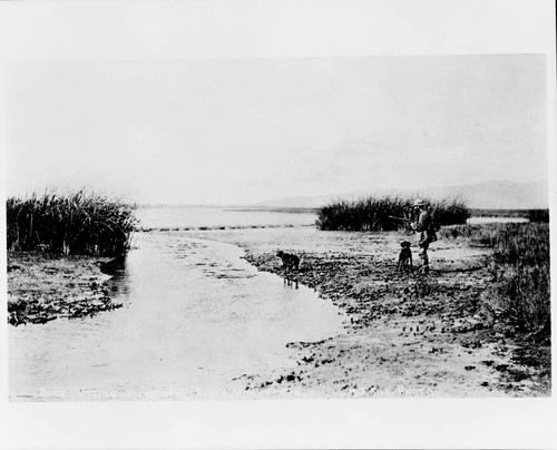 Venice marshes, duck hunting