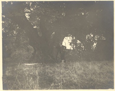 John Muir by Oak ('agrifolia') Martinez, California