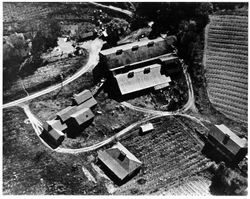 Aerial view of a Geyserville vineyard