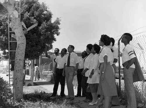 Crenshaw Community Redevelopment Association project participants on site, Los Angeles, 1983