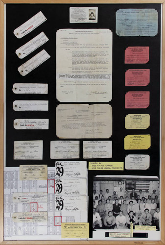 Various identification cards and passes of the Harada family