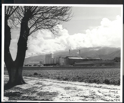 Spreckels Sugar Factory, Spreckels, LHPh 217, ©1979 Billy Emery