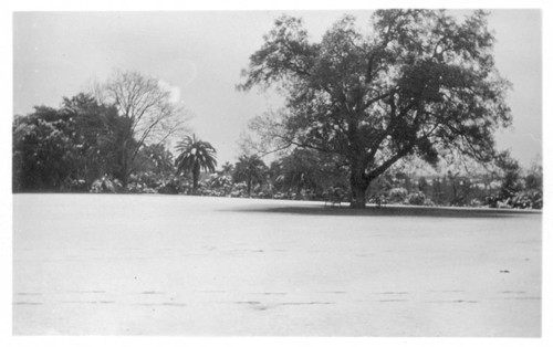 Huntington grounds after snowfall, January 15, 1932