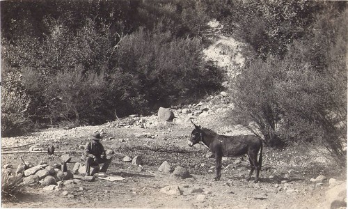 Man with Mule in the Arroyo