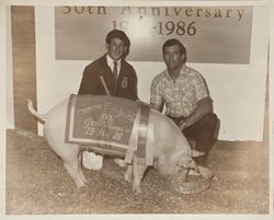 Curt Nommsen and his FFA Grand Champion sow at the Sonoma County Fair, Santa Rosa, California, 1986