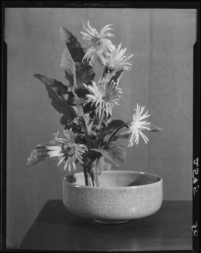 Japanese style flower arrangement with daisies by Margaret Preininger, Los Angeles, 1935
