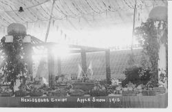 1915 Gravenstein Apple Show display by Healdsburg California