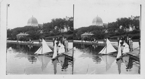 Sailing Model Yachts on the Lake, Central Park, N.Y