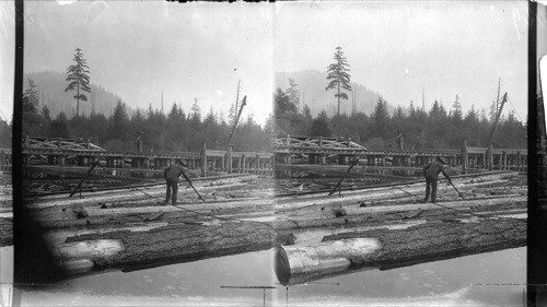 View of the boom, bringing logs to be carried up for cutting. Shawingan Lake Lumber Co. Canada. B.C