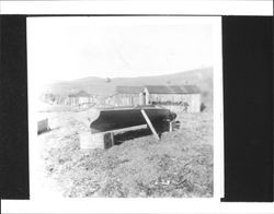Building a boat at Tomales, California, about 1907