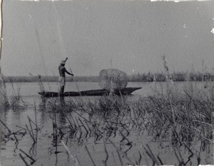An African man fishing on the river. The fish-trap is on the dugout
