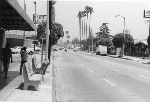 Photograph of a bus stop on Garfield Ave