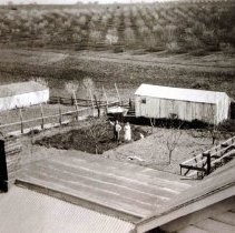Dewey Farm