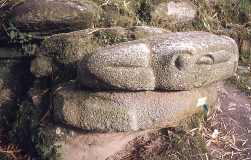 Carved stone boulder in the form of a toad, San Agustín, Colombia, 1975