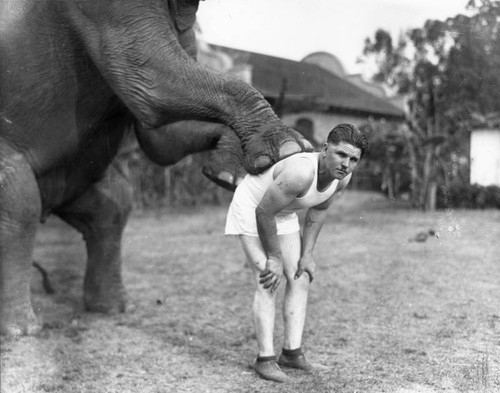 Man and elephant