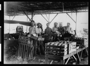 Workers packing crates of cantaloupe in Imperial Valley, ca.1910