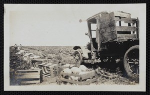 A set of nine photographs depicting scenes on a produce farm (a-i), Los Angeles, circa 1920s
