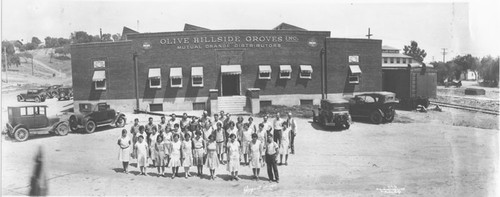 Olive Hillside Groves Inc. employee group portrait, Olive, California, 1929