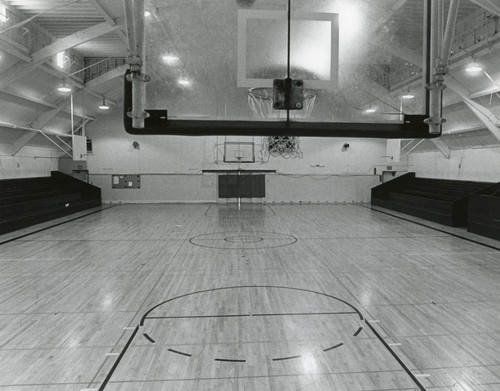Gymnasium Floor and Basketball Goal
