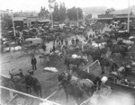 [Old City Market, Los Angeles, 1898]
