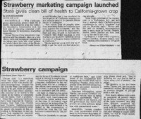 Strawberry marketing campaign launched