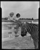 Florence Kroiss and Marian Waddell feeding Zero, the zebra, Van Nuys, 1936