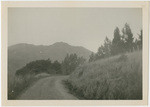 Mt. Tamalpais, seen from Tamalpais Avenue, Mill Valley, on the morning o’ Sunday, Jan . 13, 1929