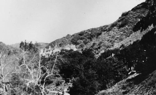 View of Laurel Canyon