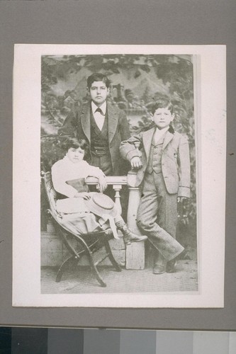 Standing left to right: Mariano G. Haraszthy, Agoston F. Haraszthy. Seated - Lolita Haraszthy Dowdell