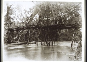 Bridge over the River Ndsi in Bamum