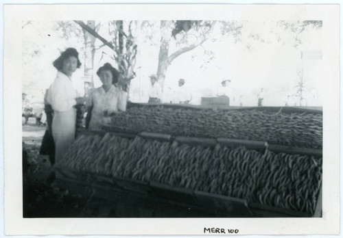 Photograph of vegetables at the Manzanar farm exhibit with two women in the background