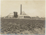 Sugar beet factory, Hamilton, Cal., 4532