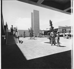 Courtyard of City Hall, Santa Rosa, California, 1969