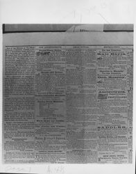 Advertisements for various Petaluma, California businesses in an unidentified newspaper, 1856