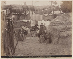 Yaqui Indians, from the Yaqui River, Mexico, at the Midwinter Fair, 1894, 8164