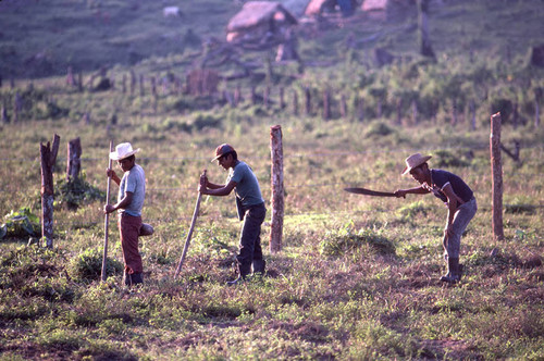 Guatemalan refugees at work, Ixcán, 1983