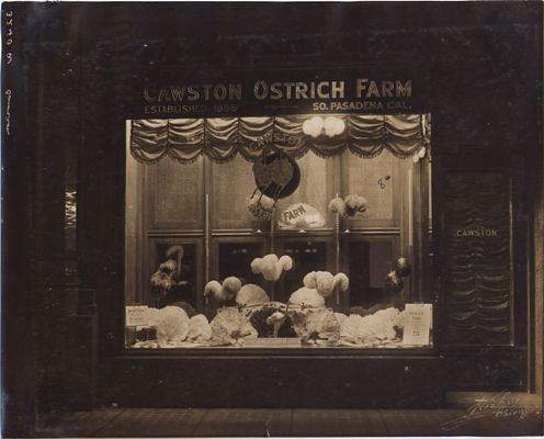 Cawston Ostrich Farm Boutique Storefront, 108 Michigan Avenue, Chicago, IL